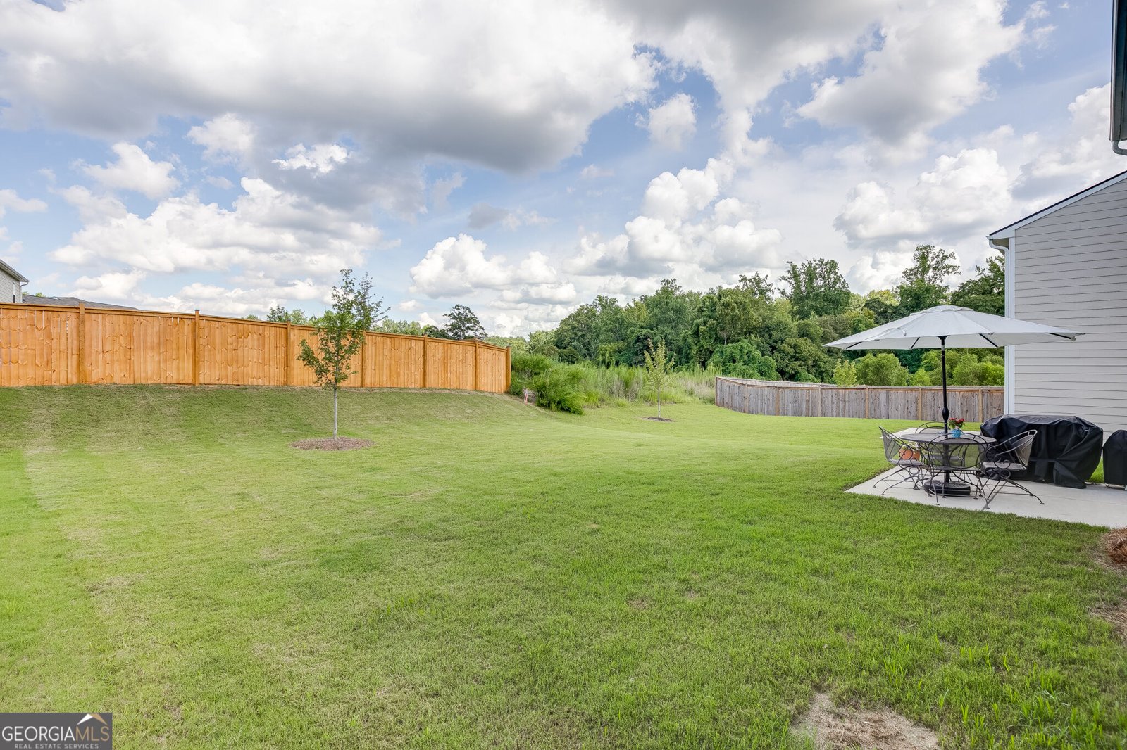 227 Traminer Way Braselton - Photo 35