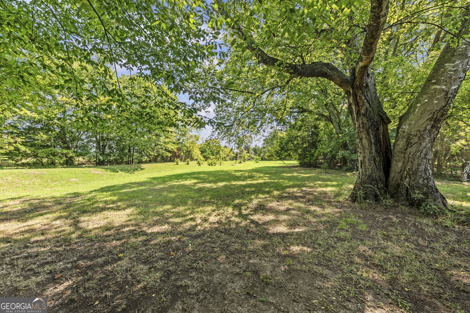 2342 Washington Highway Elberton - Photo 13