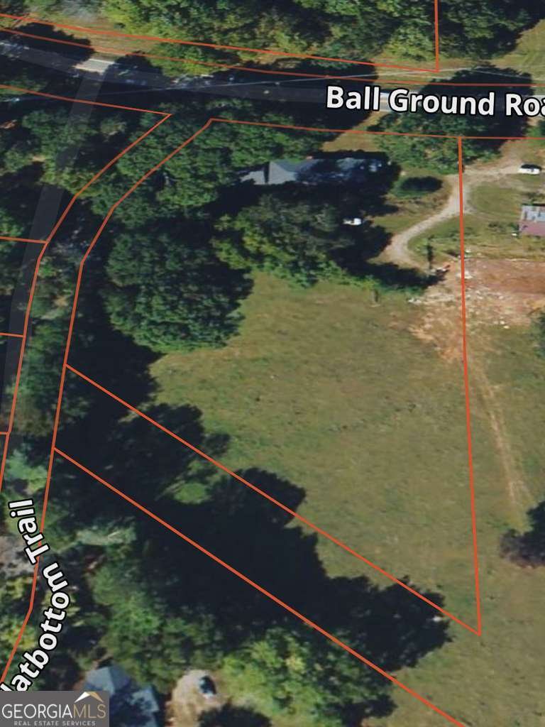 514 Ball Ground Road Ball Ground - Photo 40