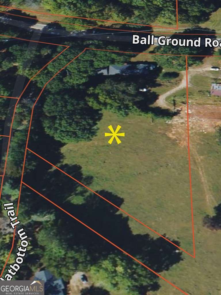 514 Ball Ground Road Ball Ground - Photo 41