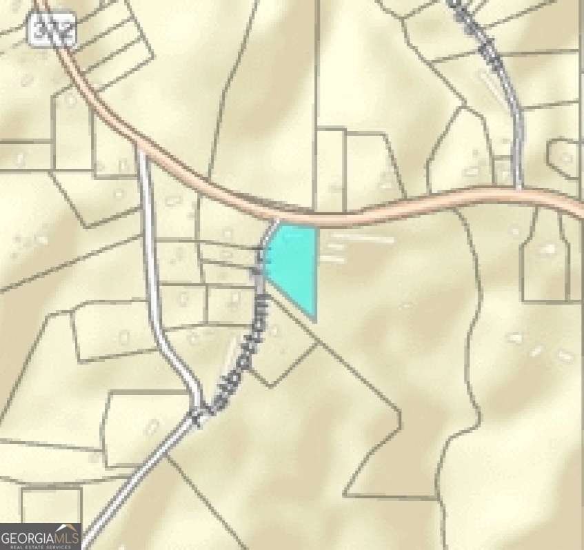 514 Ball Ground Road Ball Ground - Photo 45