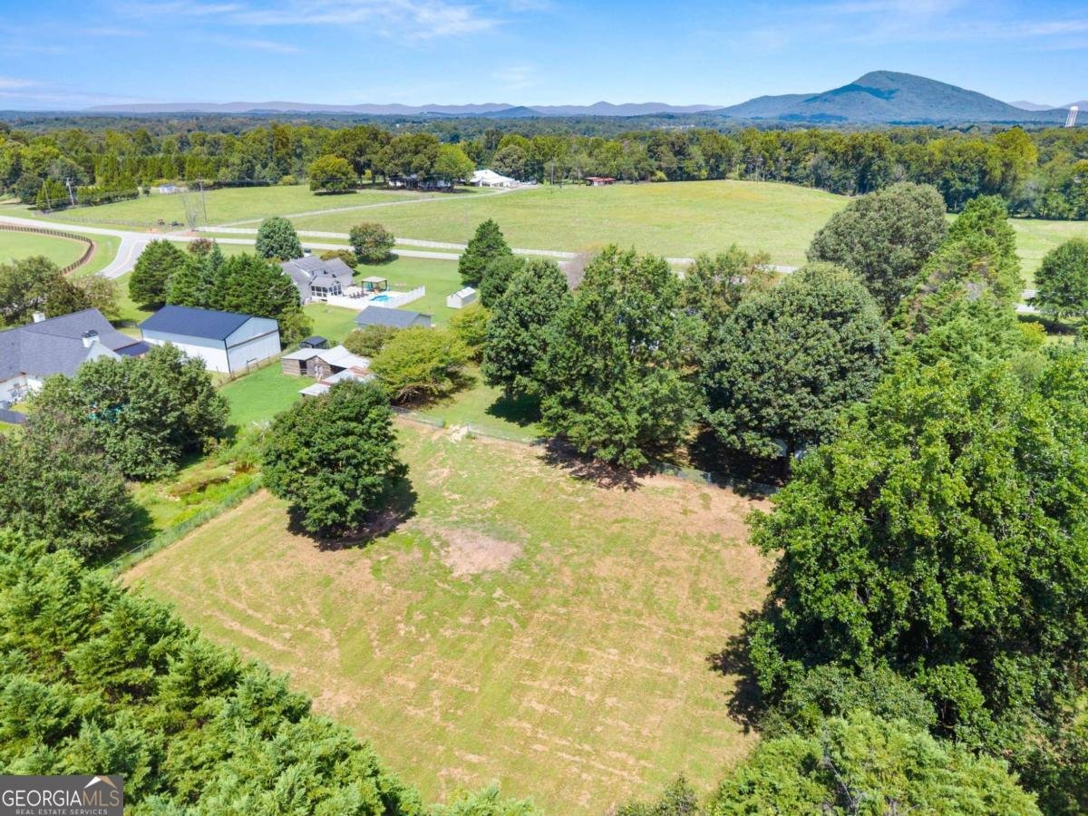 5820 Steve Black Road Clermont - Photo 46
