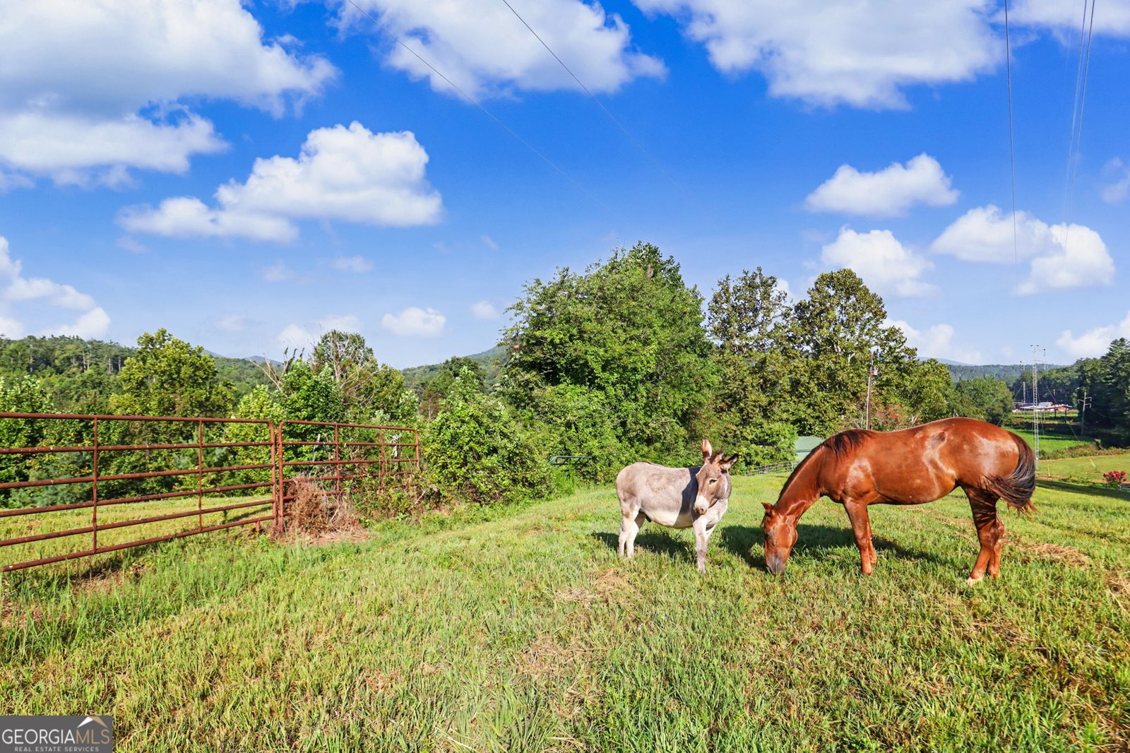 7118 Old 441 Lakemont - Photo 117