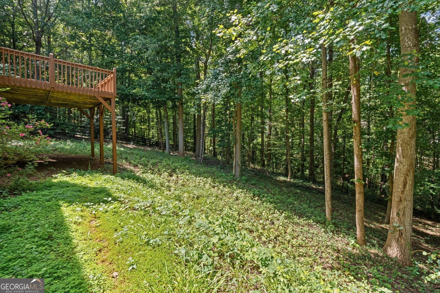 6225 Brook Hollow Creek Drive Cumming - Photo 49