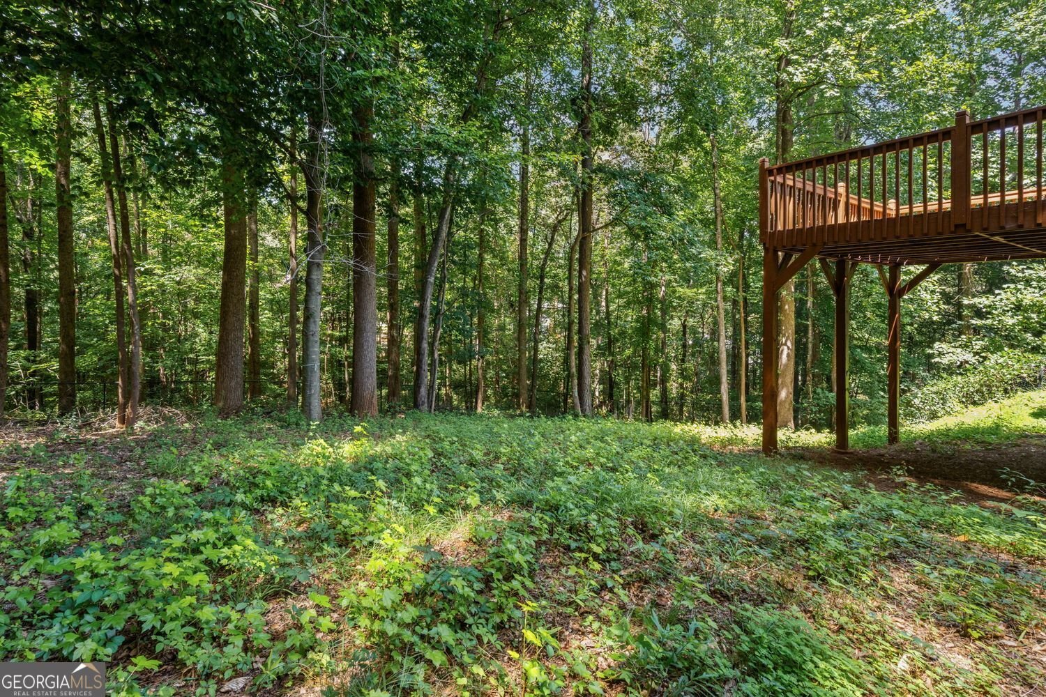 6225 Brook Hollow Creek Drive Cumming - Photo 50