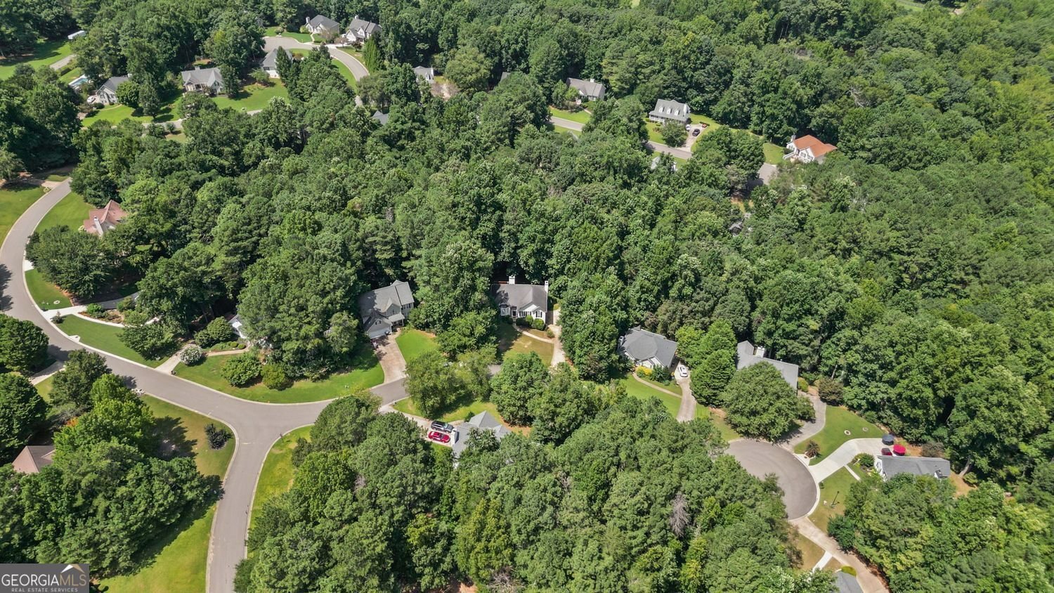6225 Brook Hollow Creek Drive Cumming - Photo 54