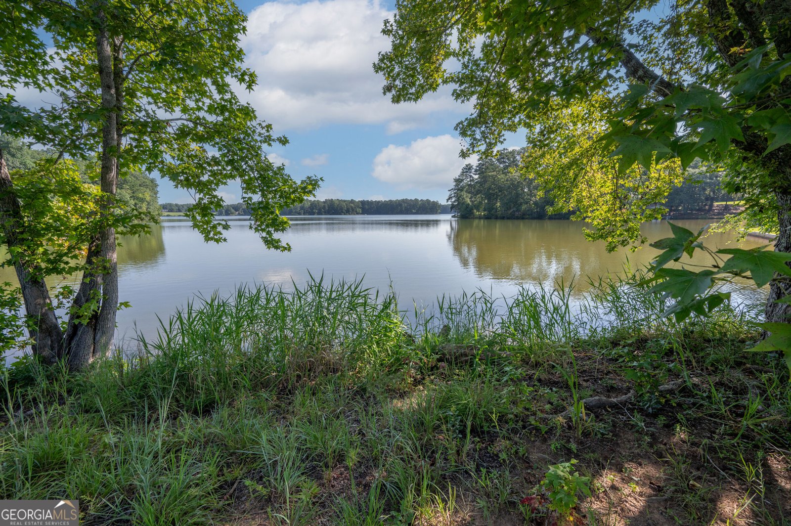 2403 Piedmont Lake Road Pine Mountain - Photo 71