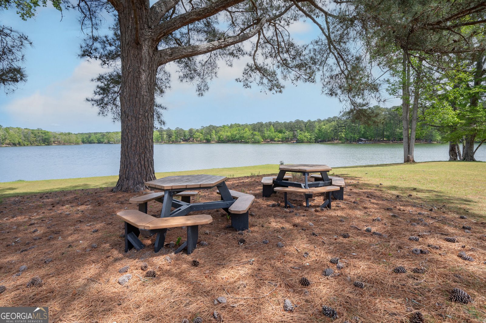 2403 Piedmont Lake Road Pine Mountain - Photo 81