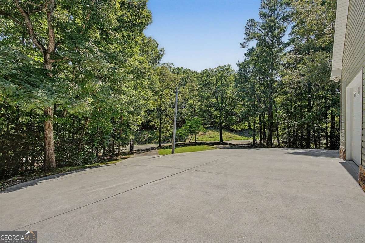 1141 Buttermilk Road Cave Spring - Photo 49