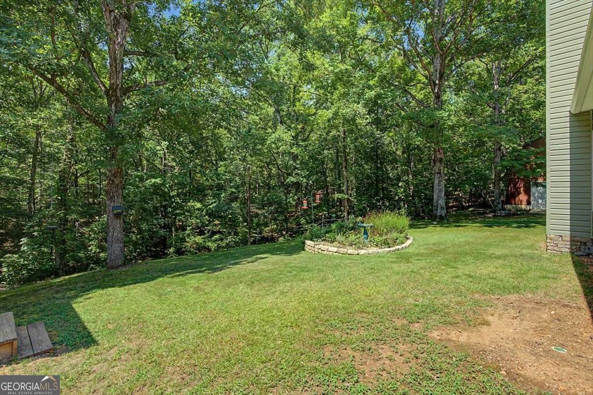 1141 Buttermilk Road Cave Spring - Photo 50