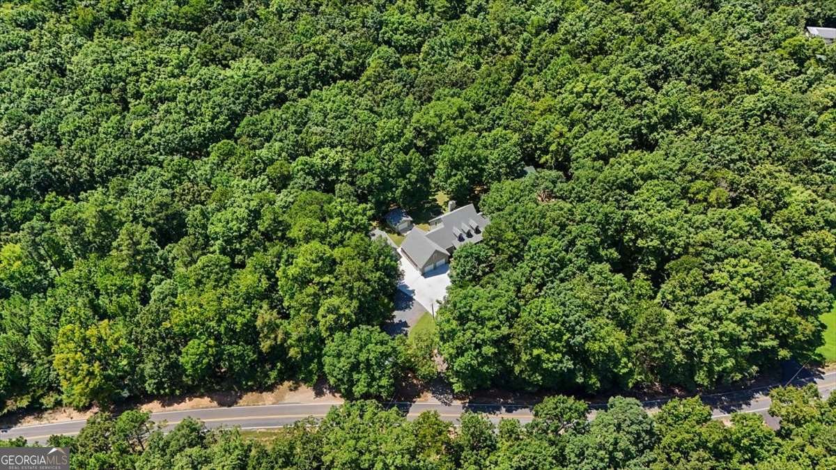1141 Buttermilk Road Cave Spring - Photo 52