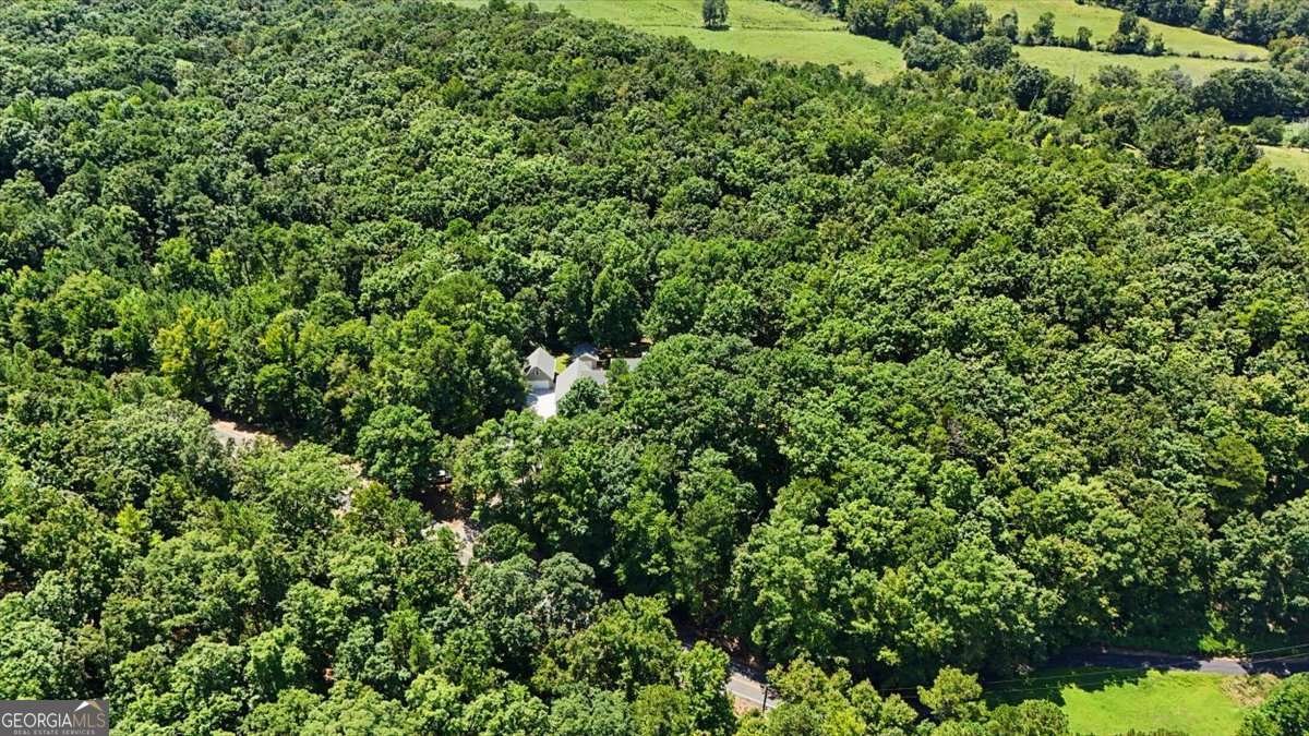1141 Buttermilk Road Cave Spring - Photo 53