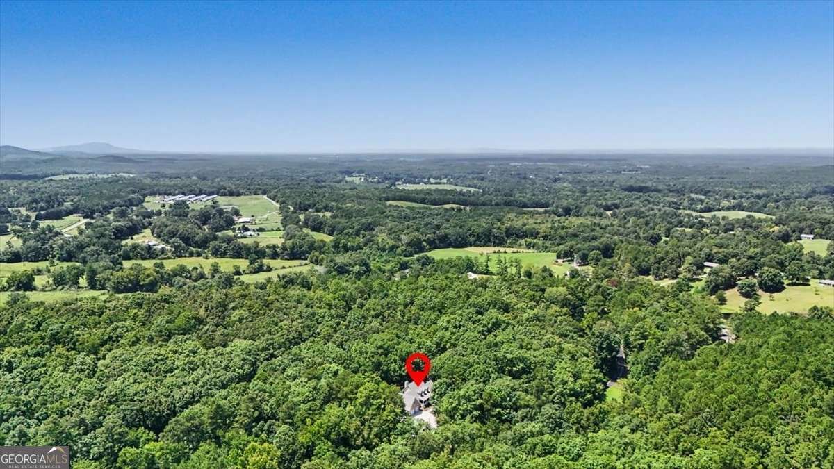 1141 Buttermilk Road Cave Spring - Photo 54