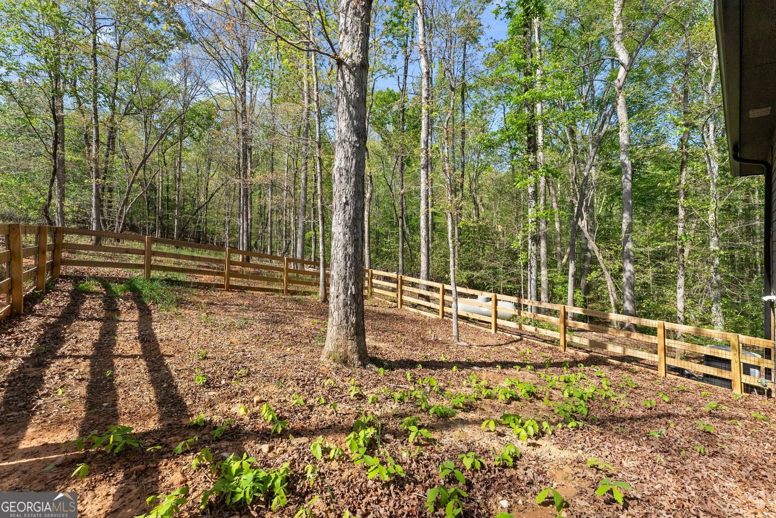 162 Hickory Ridge Drive Cleveland - Photo 36