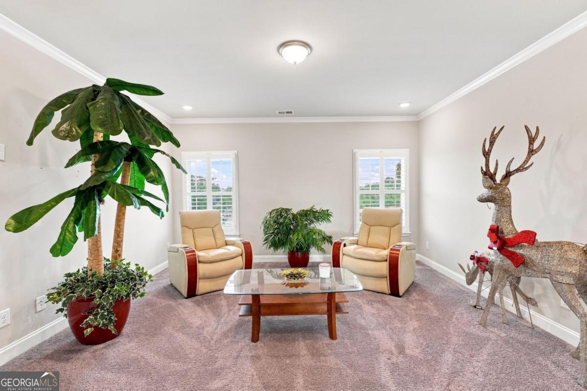 1604 Falcon Court Locust Grove - Photo 17