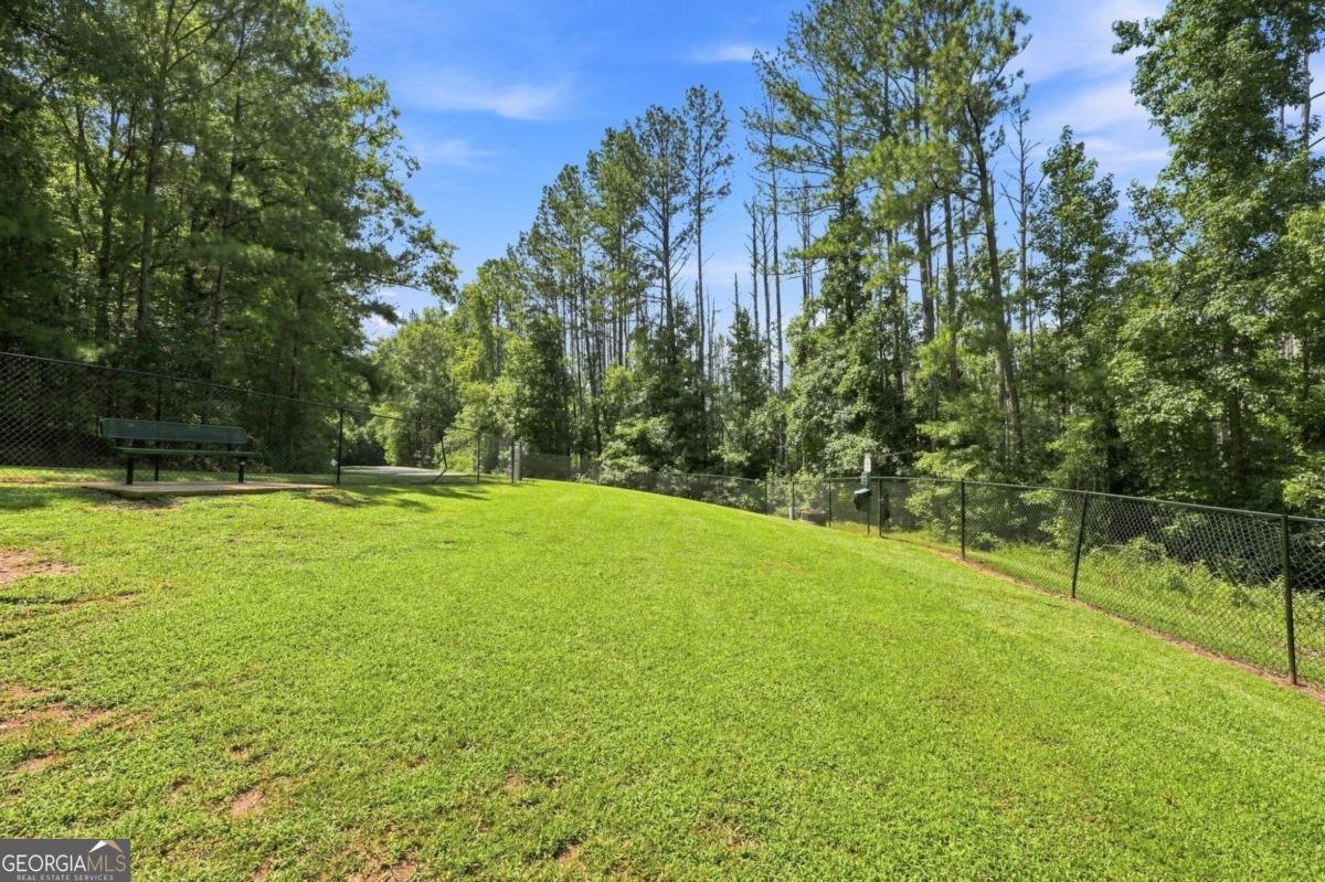 1604 Falcon Court Locust Grove - Photo 59