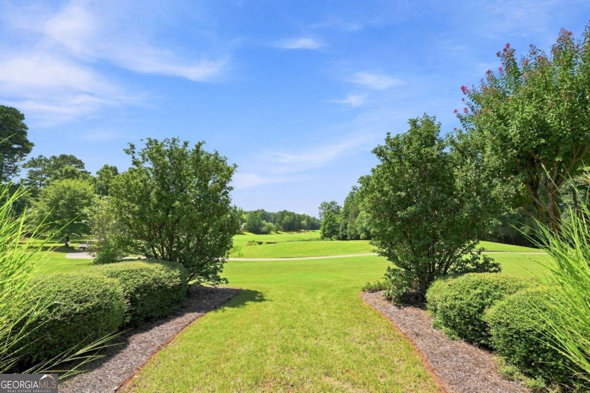 1604 Falcon Court Locust Grove - Photo 67