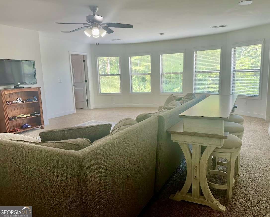 41 Lake Sydney Drive Dawsonville - Photo 51