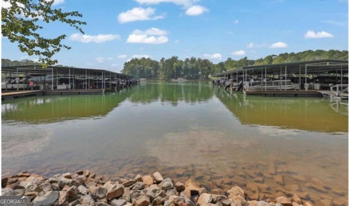 41 Lake Sydney Drive Dawsonville - Photo 73