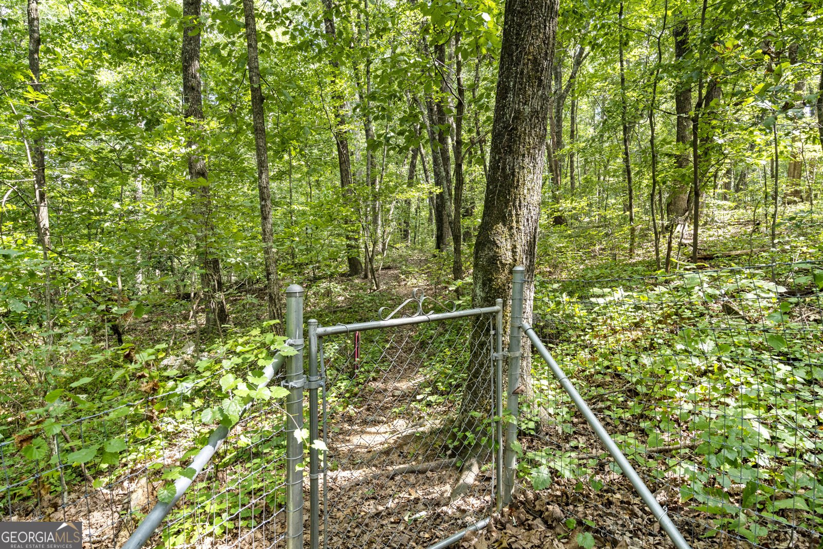1891 Silver Hill Road Tucker - Photo 15