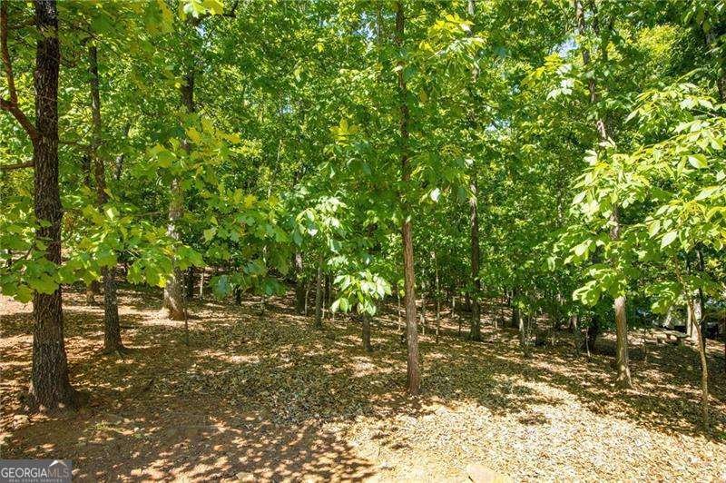 407 Ward Farm Drive Powder Springs - Photo 45