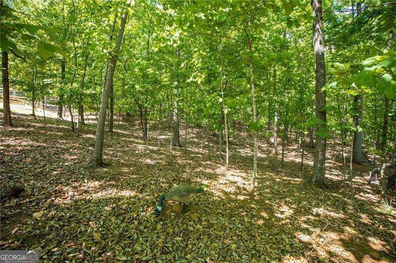 407 Ward Farm Drive Powder Springs - Photo 47