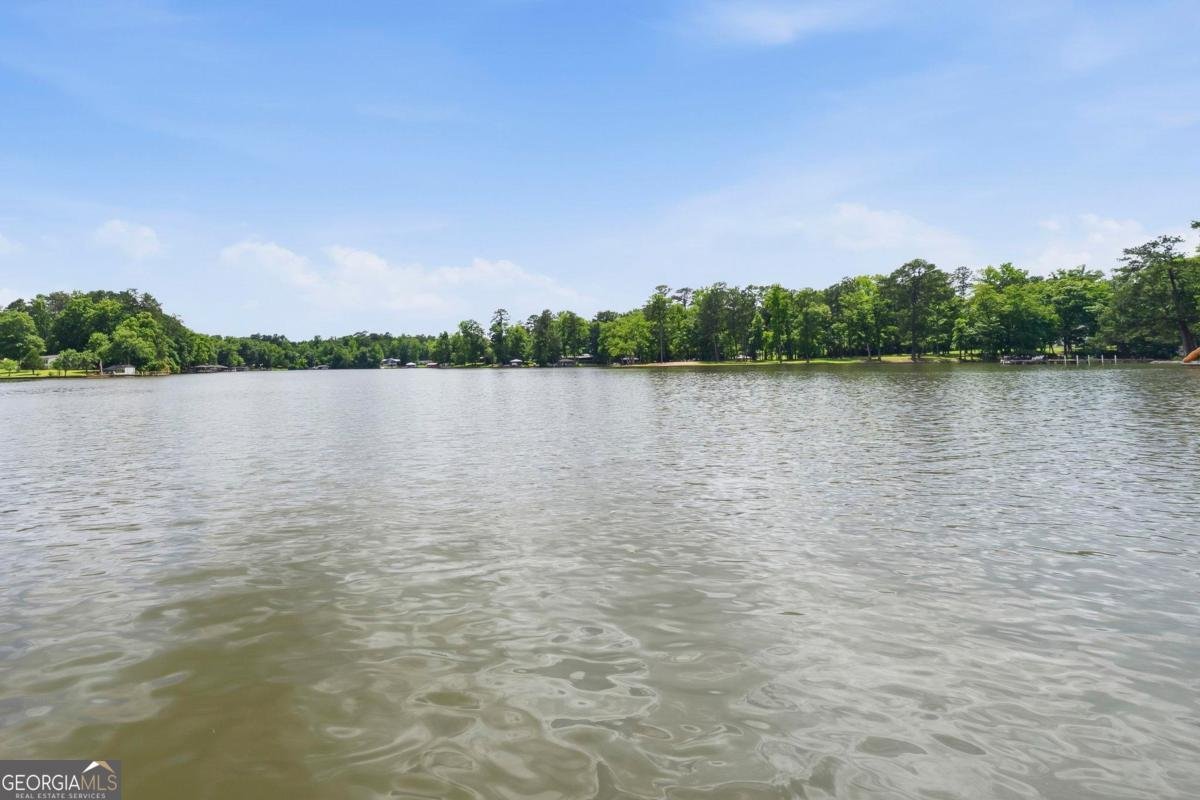 179 Napier Drive Eatonton - Photo 68