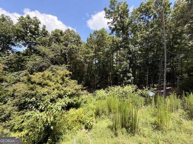 1657 Chubb Road Cave Spring - Photo 15