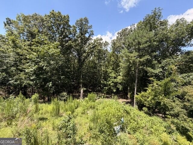 1657 Chubb Road Cave Spring - Photo 16