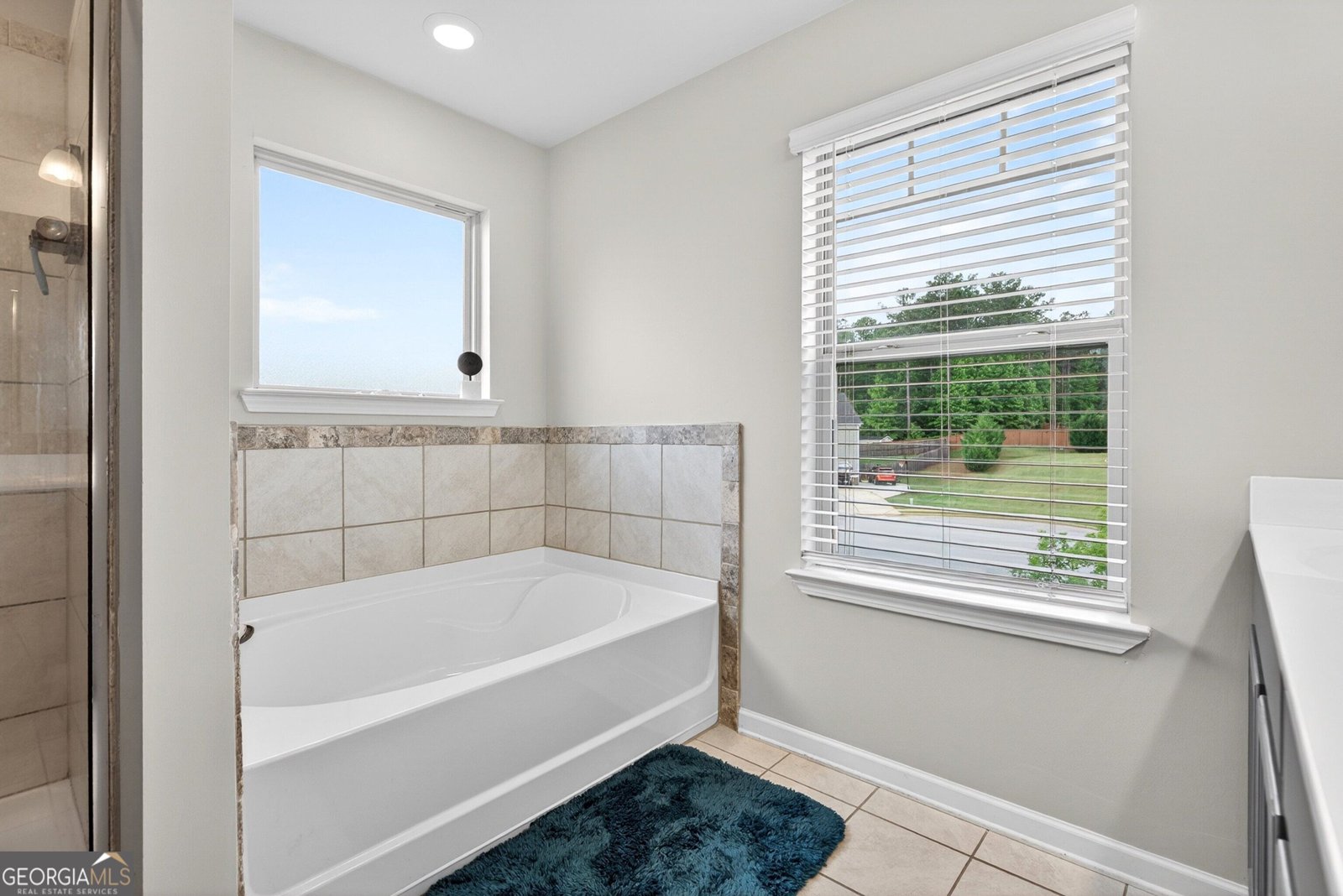 20 Shelton Court Senoia - Photo 31
