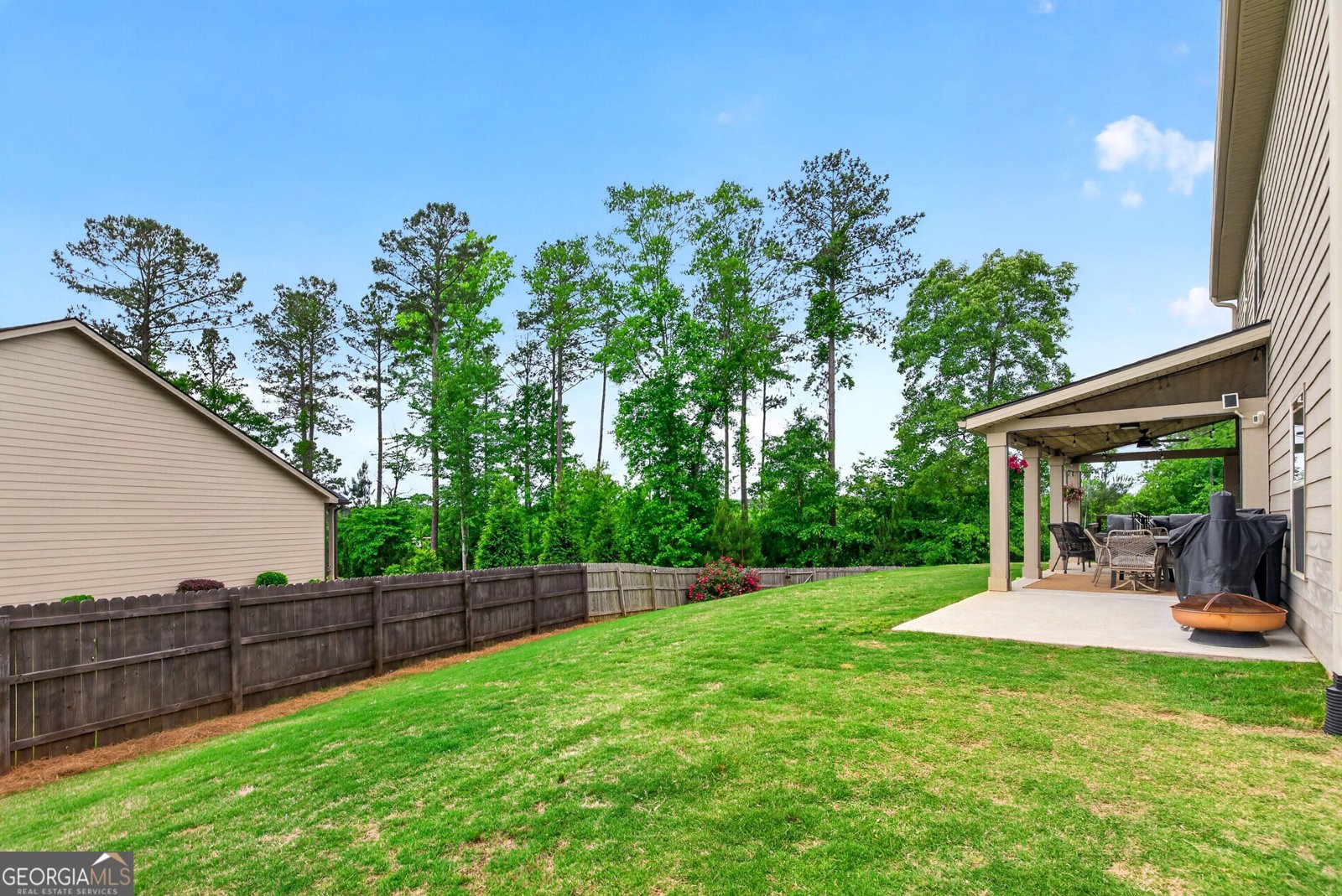 20 Shelton Court Senoia - Photo 43