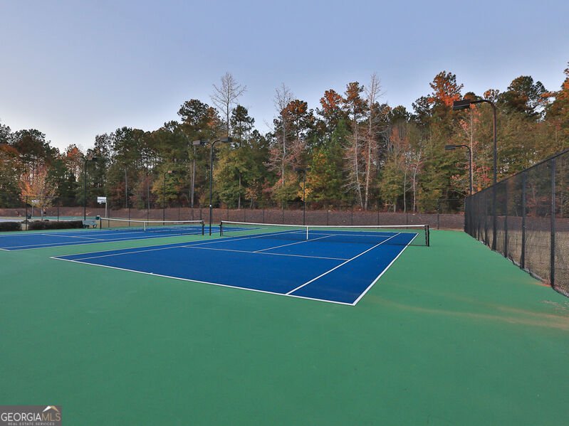 20 Shelton Court Senoia - Photo 47