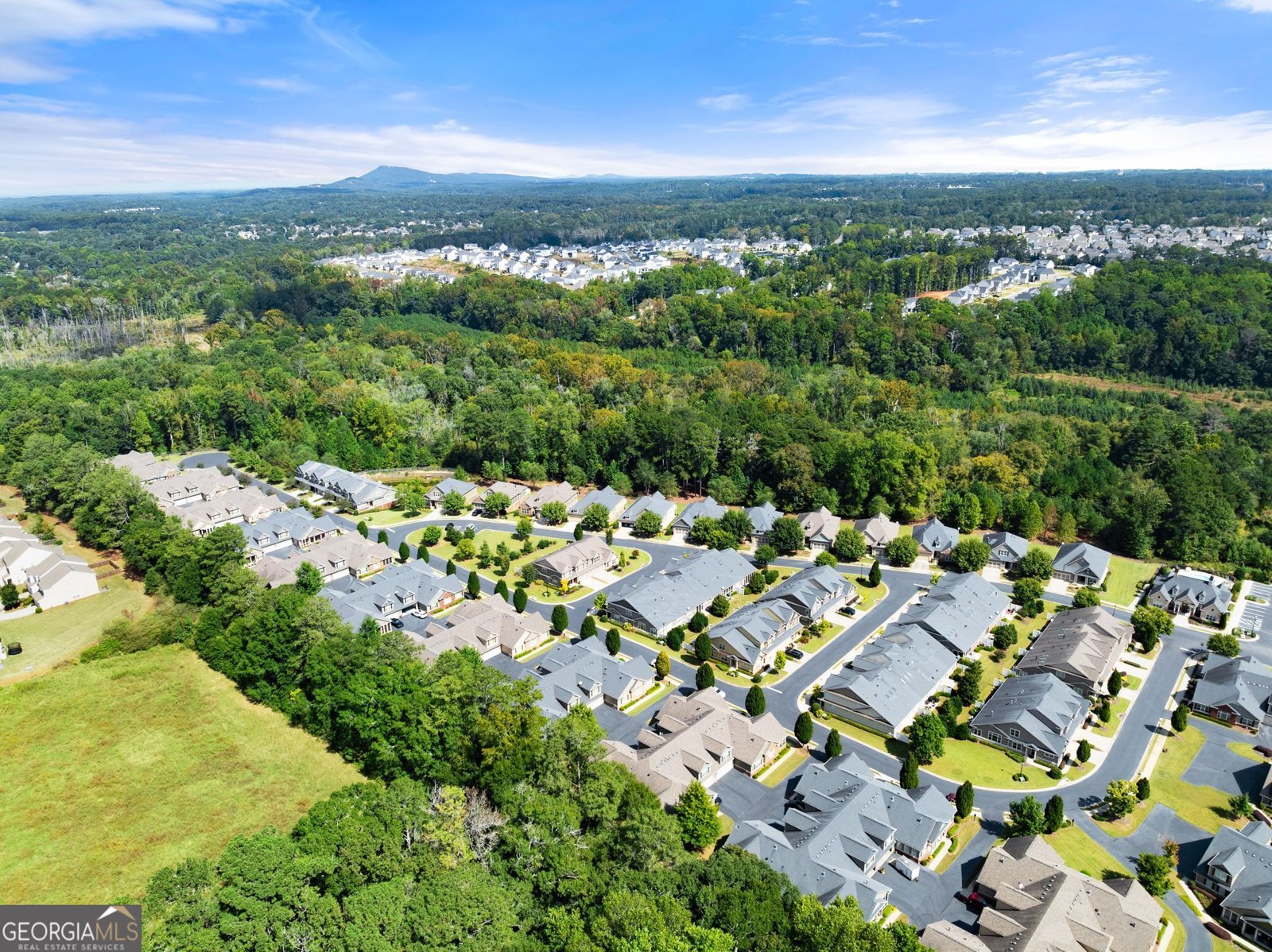 4715 Flycatcher Drive Alpharetta - Photo 39
