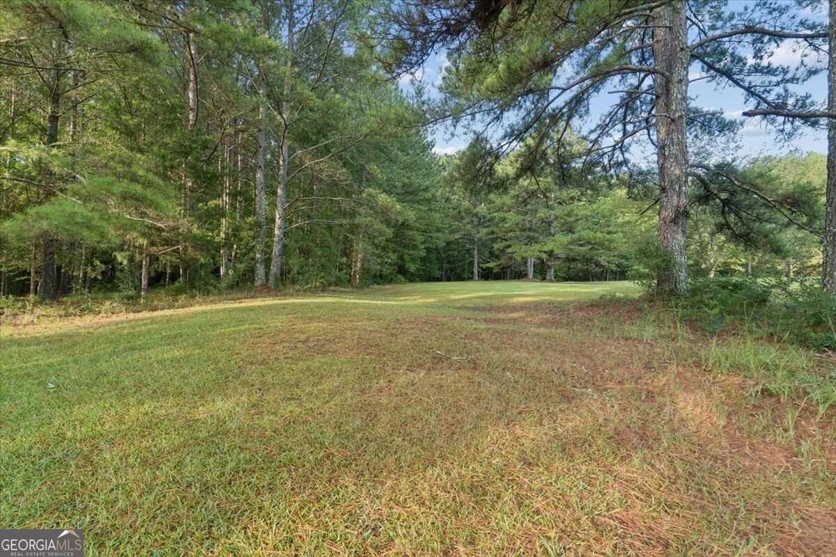 4170 Sandy Creek Road Madison - Photo 31