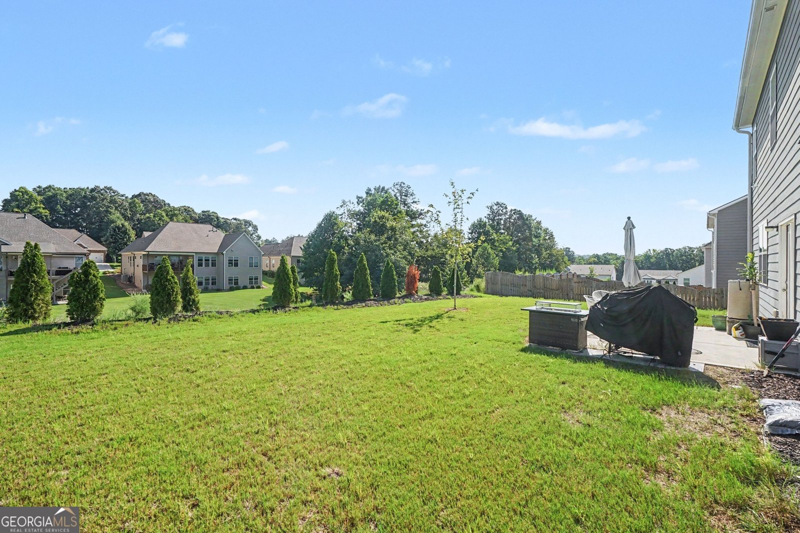 197 Amber Meadow Drive Braselton - Photo 52