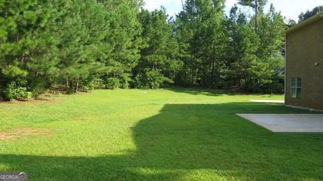 6800 Palace Lane Fairburn - Photo 38