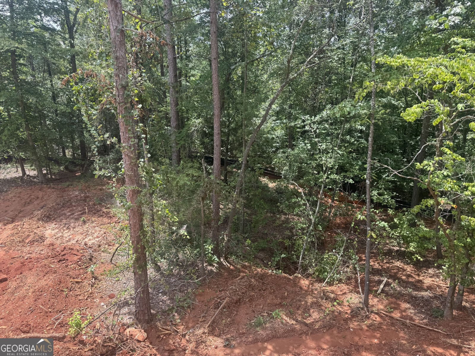 158 Blackberry Court Pendergrass - Photo 13