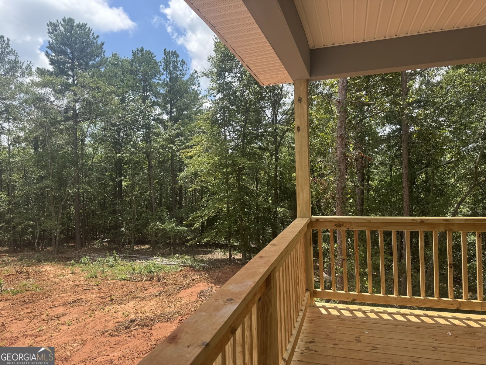 158 Blackberry Court Pendergrass - Photo 14