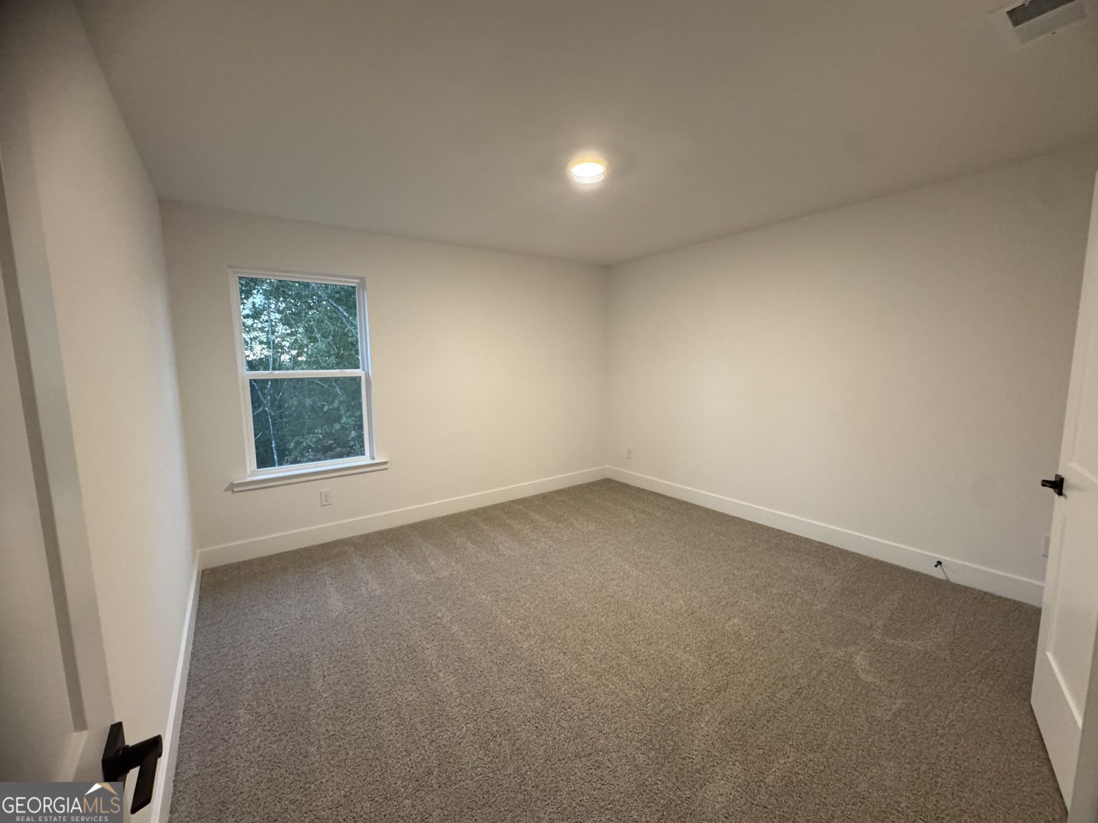 158 Blackberry Court Pendergrass - Photo 19