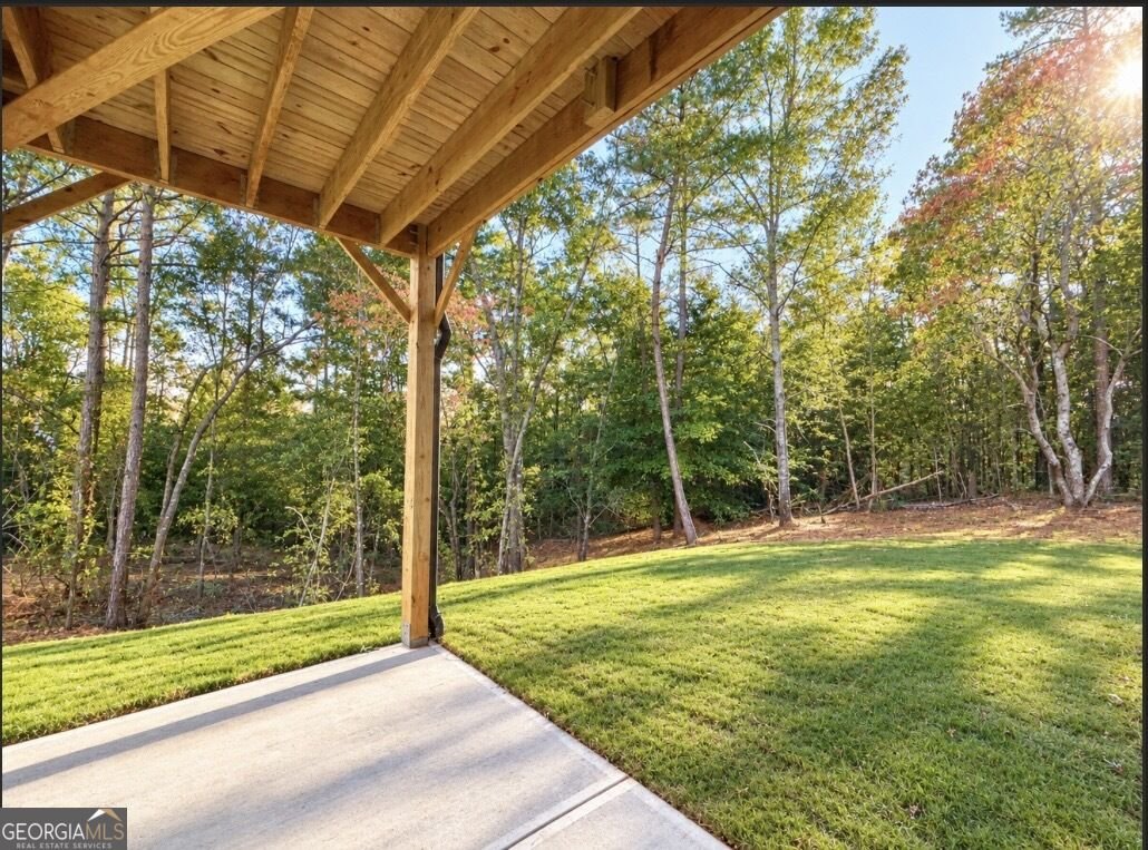 158 Blackberry Court Pendergrass - Photo 37