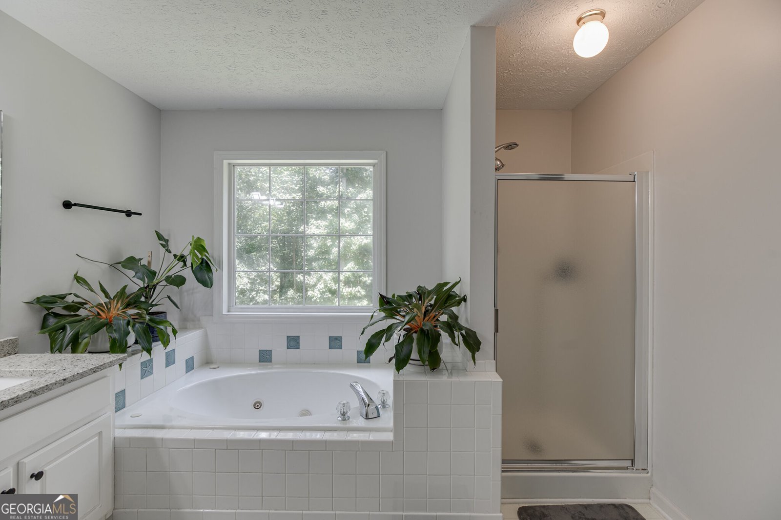 6447 Ivy Springs Drive Flowery Branch - Photo 32