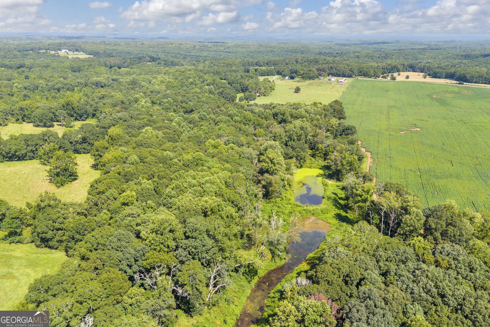 1501 Kirkland Road Watkinsville - Photo 46
