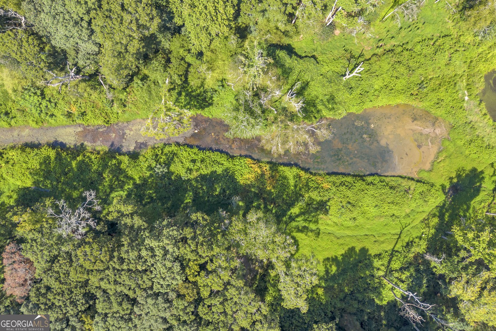 1501 Kirkland Road Watkinsville - Photo 47