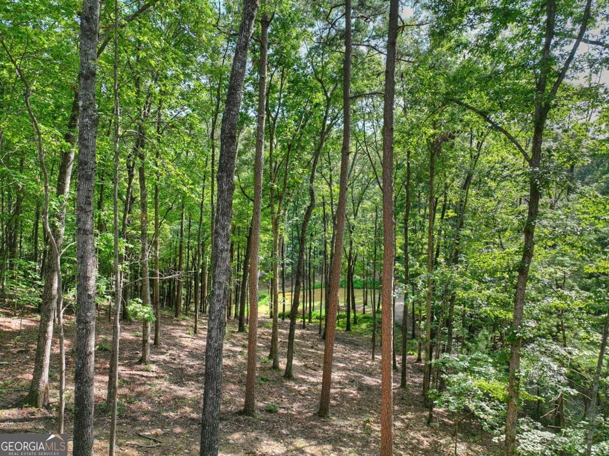412 Mountain Tops Circle Blue Ridge - Photo 63