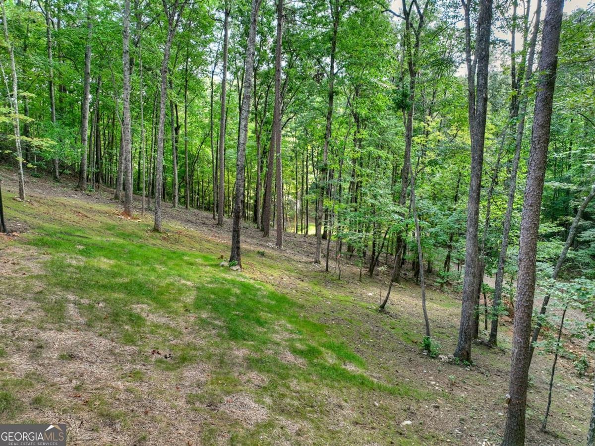 412 Mountain Tops Circle Blue Ridge - Photo 64