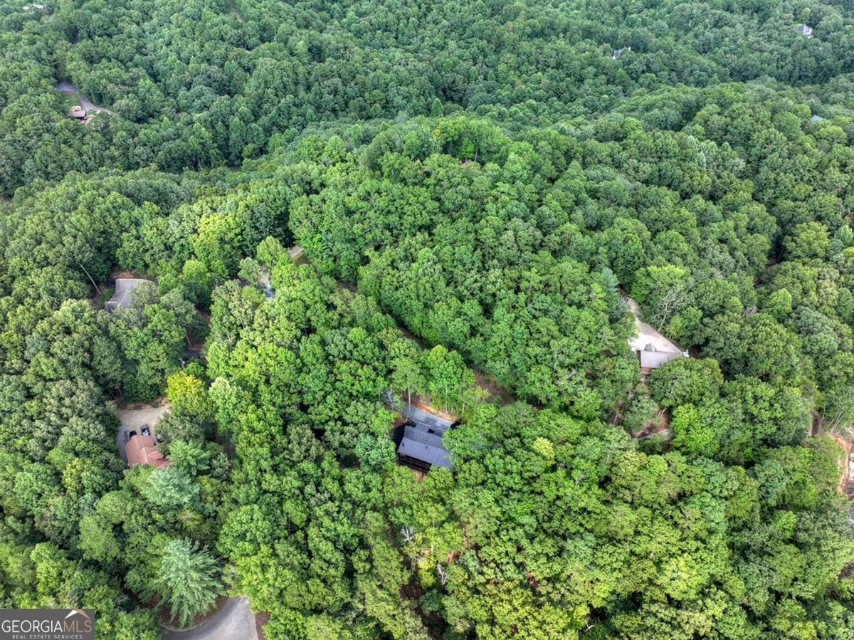 412 Mountain Tops Circle Blue Ridge - Photo 66
