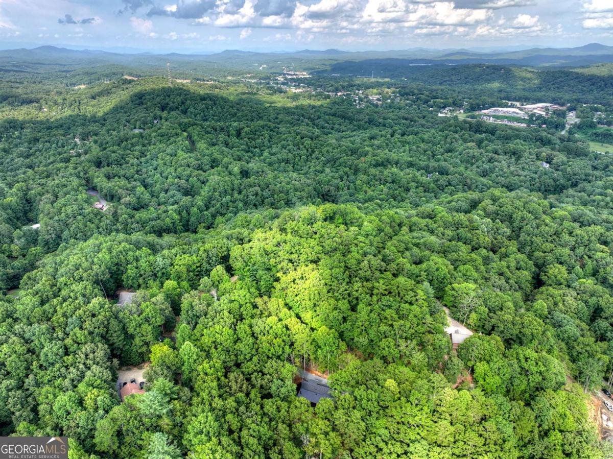 412 Mountain Tops Circle Blue Ridge - Photo 67