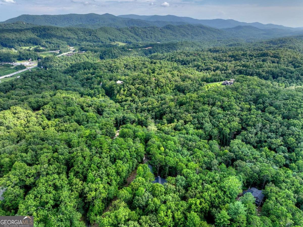 412 Mountain Tops Circle Blue Ridge - Photo 68