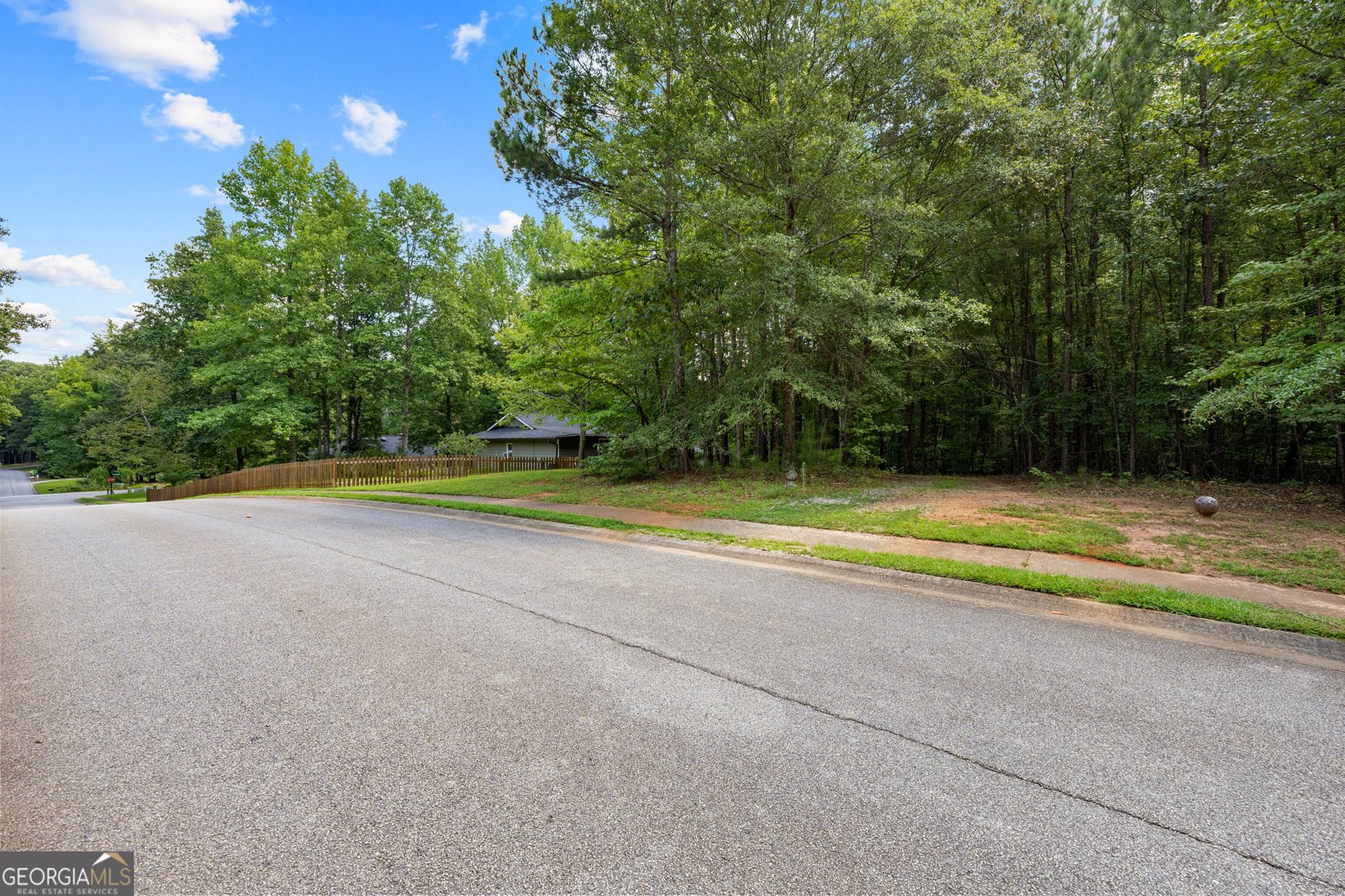 170 Timberidge Drive Newnan - Photo 46
