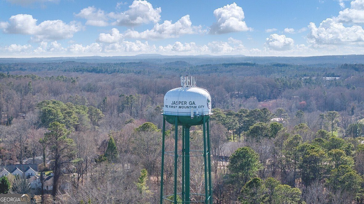 203 Rolling Meadow Trace Jasper - Photo 29